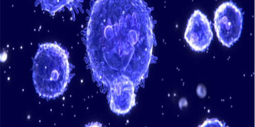 Oncology