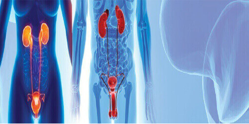 Urology