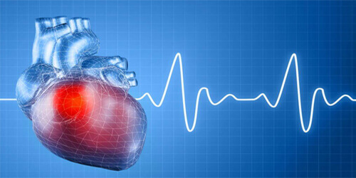 Electrophysiology