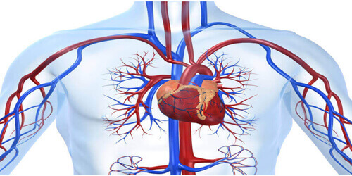 Interventional Cardiology