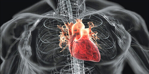 Cardiac Surgery