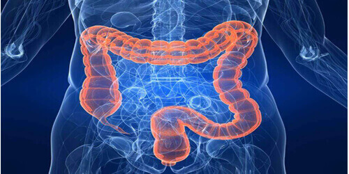 Colorectal Surgery