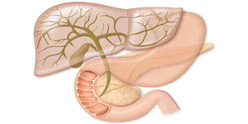 Hepatobiliary Surgery