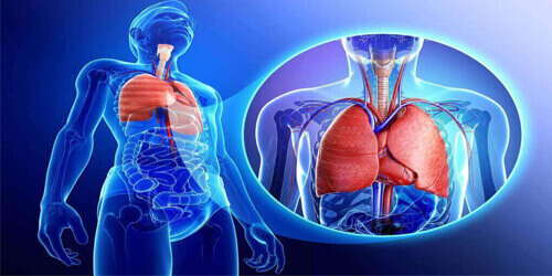 Thoracic Surgery