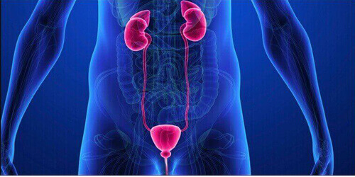 Urogynecology