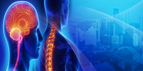 Brain & Spine