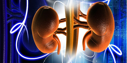 Nephrology