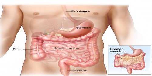 Gastrointestinal Surgery
