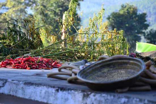 Ayurvaid Kalmatia Hospital